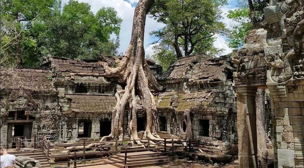 The Palmery Siem Reap Eksteriør billede